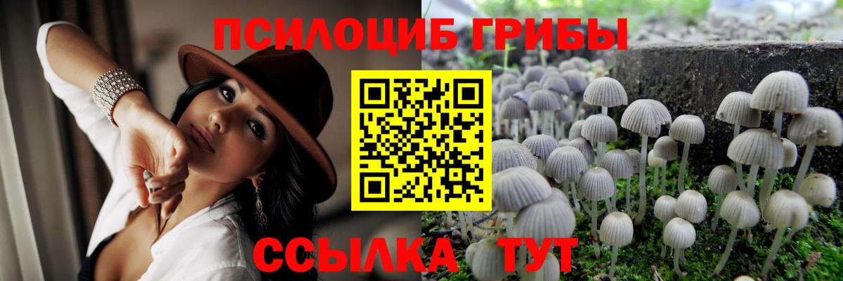 Псилоцибиновые грибы мицелий  Вход с VPN  Галлюциногенные грибы мухоморы  Якутск 